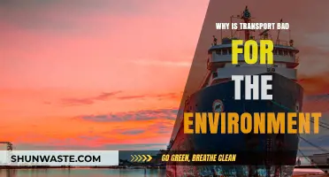 Transport's Environmental Impact: Pollution, Emissions, and Unsustainable Practices Explained