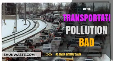 Transportation Pollution: Harmful Impacts on Health, Environment, and Climate Change