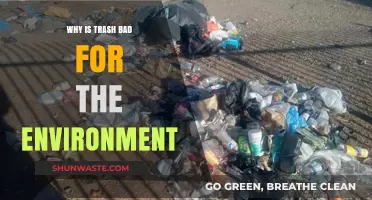Trash's Toxic Impact: How Waste Harms Our Environment and Planet