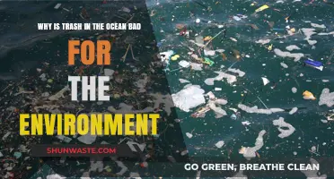 Ocean Trash Crisis: Devastating Environmental Impacts and Urgent Solutions Needed