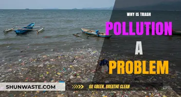 Trash Pollution Crisis: Devastating Impacts on Our Environment and Health
