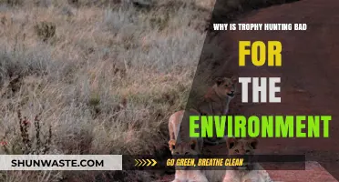 Trophy Hunting's Devastating Environmental Impact: A Threat to Ecosystems