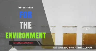 TSS Pollution: Environmental Impacts and Why It's Harmful to Ecosystems