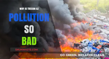 Tucson's Air Quality Crisis: Uncovering the Causes of High Pollution