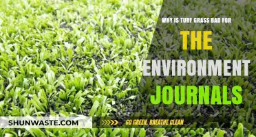 Turf Grass Environmental Impact: Uncovering Its Harmful Ecological Consequences