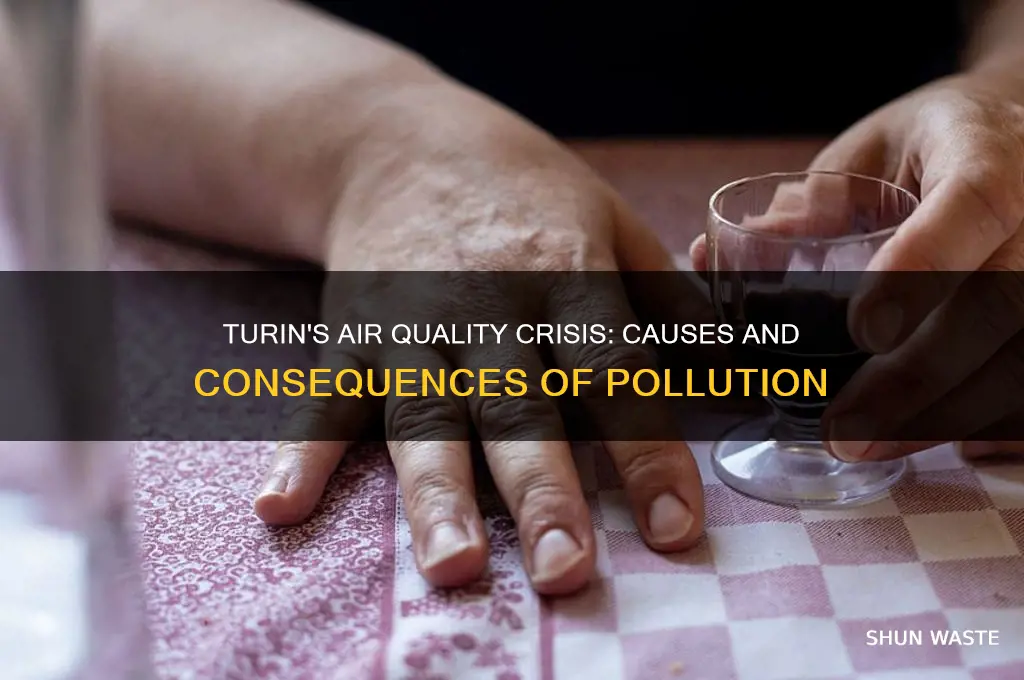 why is turin so polluted