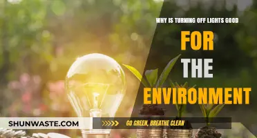 Eco-Friendly Habit: Turning Off Lights Saves Energy and Protects Nature