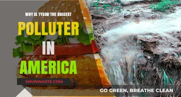 Tyson's Environmental Impact: America's Top Polluter and Its Consequences