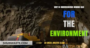 Underground Mining's Environmental Impact: Destruction, Pollution, and Ecosystem Disruption