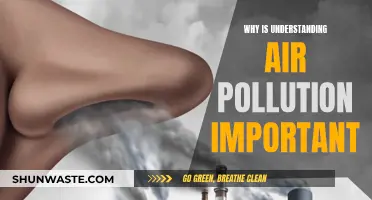 Air Pollution: Understanding for a Healthier Future