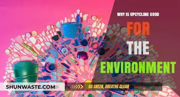 Upcycling: A Sustainable Solution for Reducing Waste and Protecting Our Planet