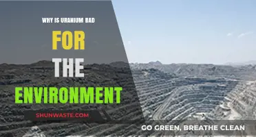 Uranium's Environmental Impact: Pollution, Radiation, and Ecological Destruction Explained