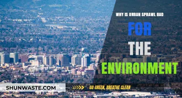 Urban Sprawl's Environmental Impact: Unsustainable Growth and Ecological Consequences