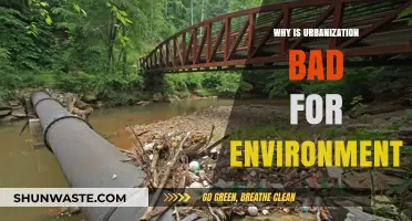 Urbanization's Environmental Impact: Uncovering the Hidden Costs of City Growth
