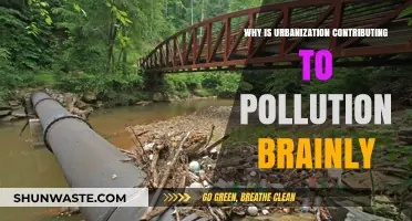 Urbanization's Impact: How City Growth Fuels Pollution and Environmental Challenges