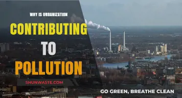 Urbanization's Pollution: A Complex Web of Environmental Issues