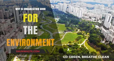 Urbanization's Green Side: How Cities Drive Environmental Sustainability