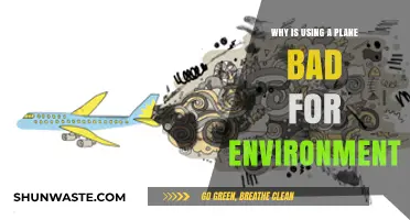 Flying's Environmental Impact: How Air Travel Harms Our Planet