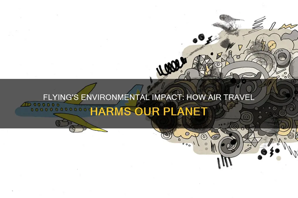 why is using a plane bad for environment