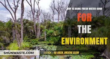 Fresh Water Use: A Sustainable Choice for Environmental Health