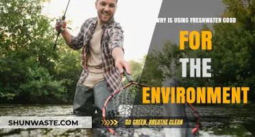 Freshwater Conservation: Eco-Friendly Benefits for a Sustainable Environment