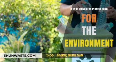 Reducing Plastic Use: A Sustainable Choice for a Healthier Planet