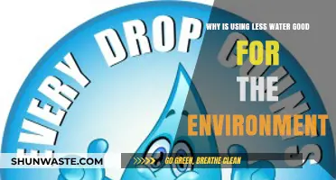Conserving Water: How Reducing Usage Benefits Our Environment and Future