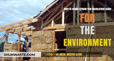 Straw Insulation: Eco-Friendly Benefits for Sustainable Home Building