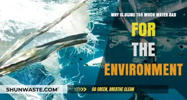Excessive Water Use: Environmental Impacts and Sustainable Solutions