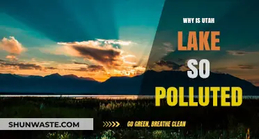 Utah Lake's Pollution: A Troubling Concern