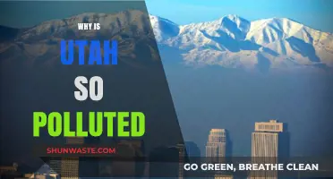 Utah's Air Quality Crisis: Uncovering the Causes of Severe Pollution