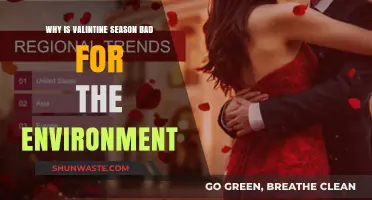 Valentine's Day's Eco-Impact: Unwrapping the Environmental Cost of Love