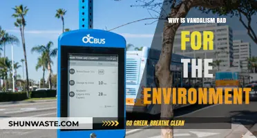 Vandalism's Environmental Impact: Harmful Consequences and Sustainable Solutions