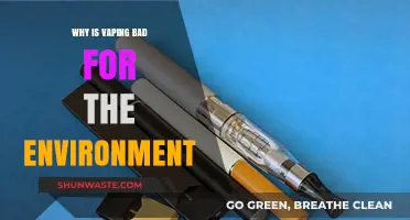 Vaping's Hidden Costs: Environmental Impact and Ecological Consequences Explained