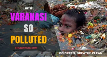 Varanasi's Pollution Crisis: Unraveling the Causes Behind the Sacred City's Decline