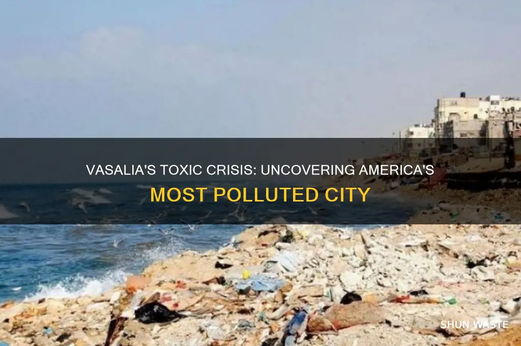 why is vasalia the most polluted city in the us