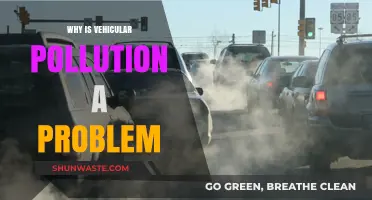 Vehicular Pollution: A Growing Environmental and Health Crisis Explained