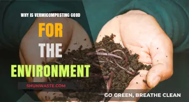 Eco-Friendly Vermicomposting: Boosting Soil Health and Reducing Waste Naturally