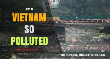 Vietnam's Pollution Crisis: Causes, Impacts, and Urgent Solutions Needed