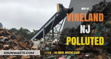 Uncovering Vineland, NJ's Pollution Crisis: Causes and Environmental Impact