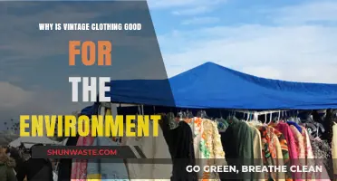 Sustainable Style: How Vintage Clothing Benefits Our Planet