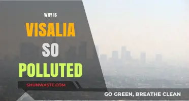 Understanding Visalia's Air Quality Crisis: Causes and Consequences of Pollution