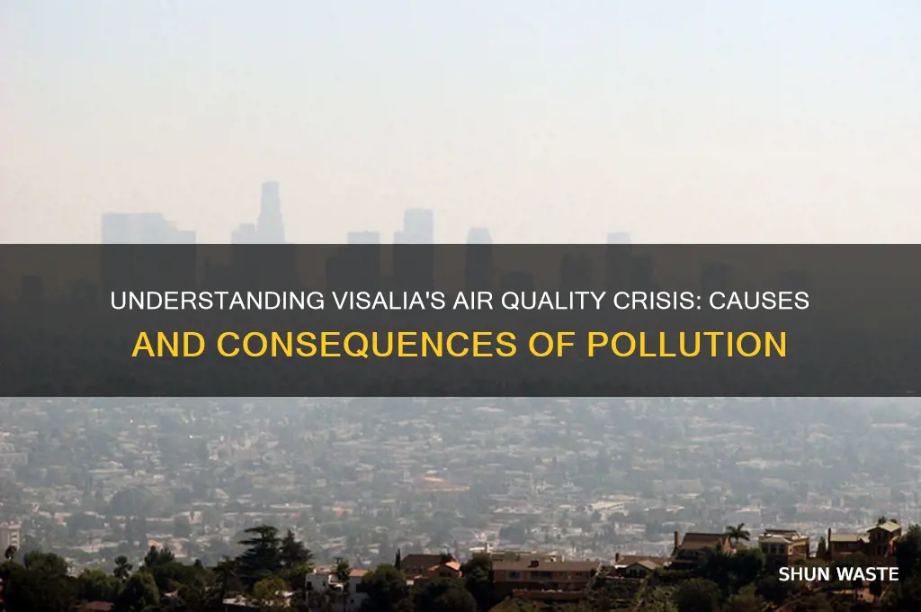 why is visalia so polluted