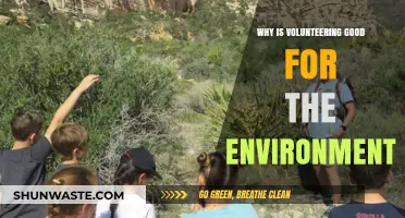 Volunteering for a Greener Future: Environmental Benefits of Community Action