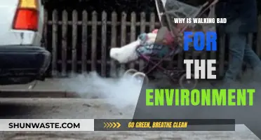 Walking's Environmental Impact: Surprising Ways Foot Travel Harms Our Planet