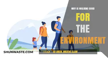 Eco-Friendly Steps: How Walking Benefits Our Planet and Health