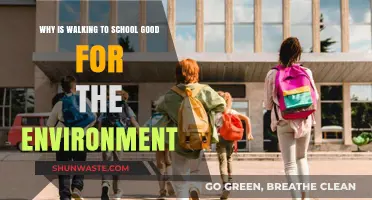 Walking to School: Eco-Friendly Benefits for a Greener Future