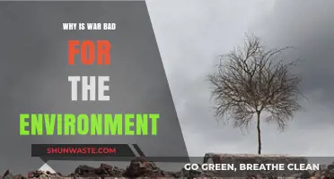 War's Devastating Impact: How Conflict Destroys Our Environment and Planet
