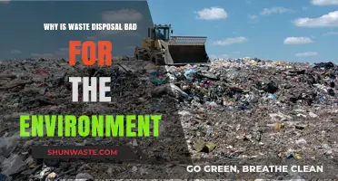 Waste Disposal's Environmental Impact: Harmful Effects and Sustainable Solutions