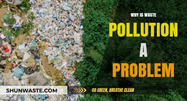 Waste Pollution Crisis: Devastating Impacts on Environment, Health, and Future